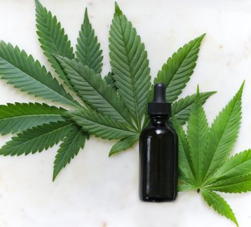 24high.nl: de CBD olie specialist van Nederland