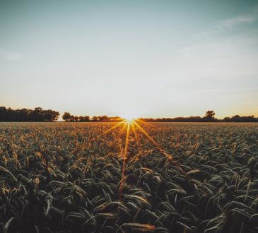 Aan de slag met de tractor