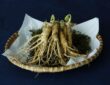 Natuurlijke planten die lichaam en geest prikkelen