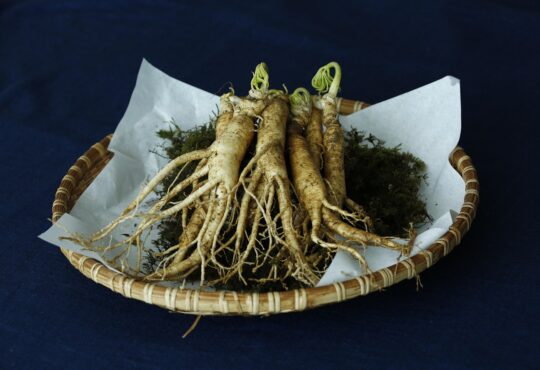 Natuurlijke planten die lichaam en geest prikkelen